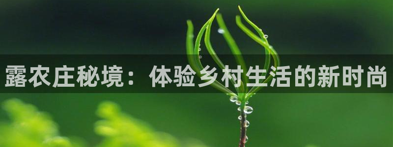 天辰娱乐44516
