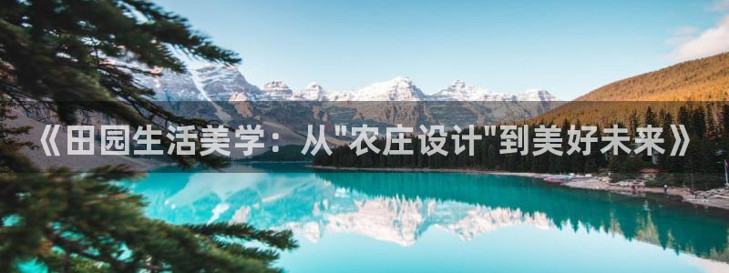 天辰娱乐平台