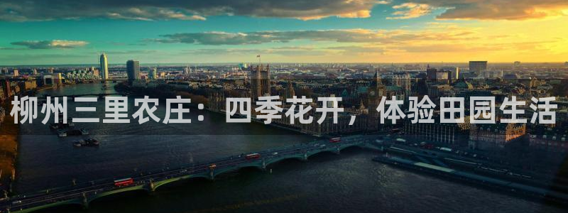 天辰娱乐481928