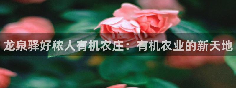 天辰娱乐好吗