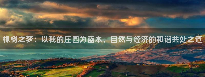 天辰娱乐新