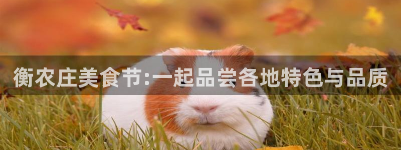 天辰娱乐_675138