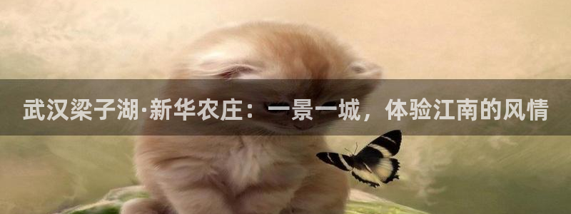 天辰娱乐信誉