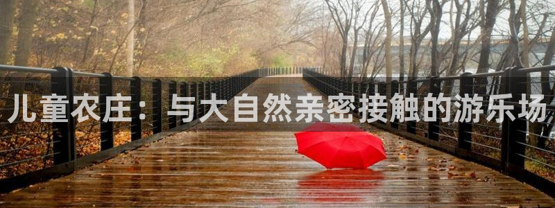天辰娱乐总管