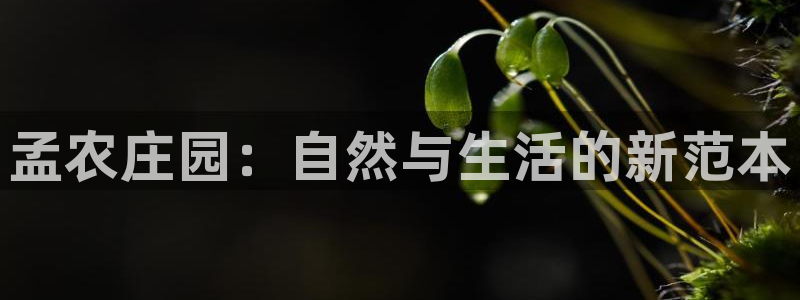 天辰娱乐_675138