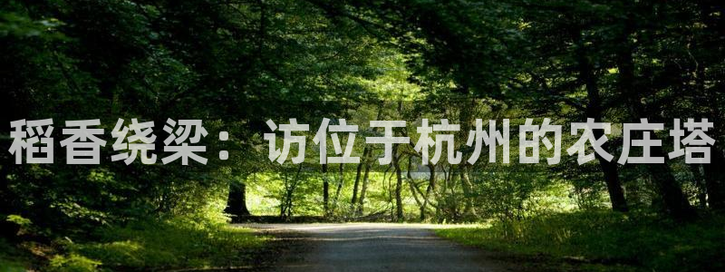 天辰娱乐557696
