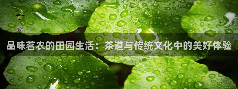 天辰娱乐入口