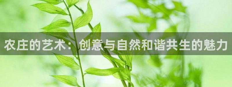 天辰娱乐内部