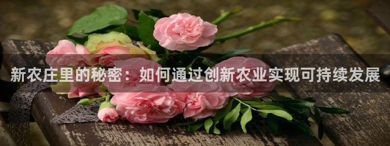 天辰娱乐天辰宝