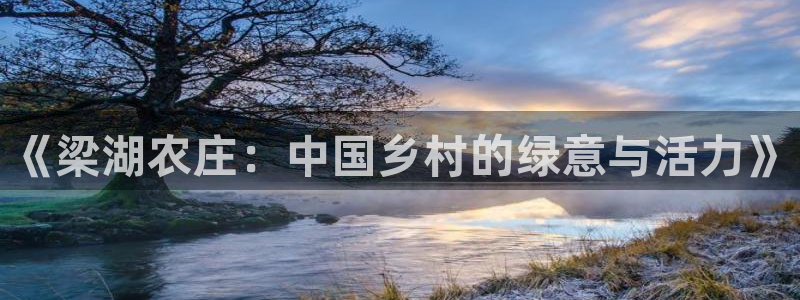 天辰娱乐平台地址在哪里