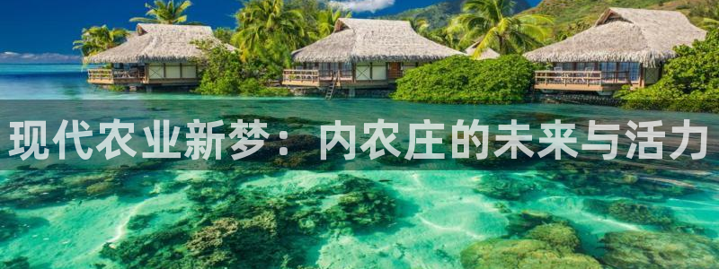 天辰娱乐957807