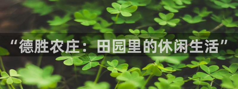 天辰娱乐股东