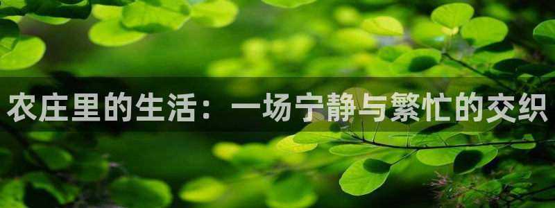 天辰娱乐84566