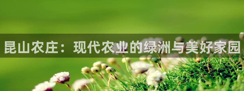 天辰娱乐下载链接