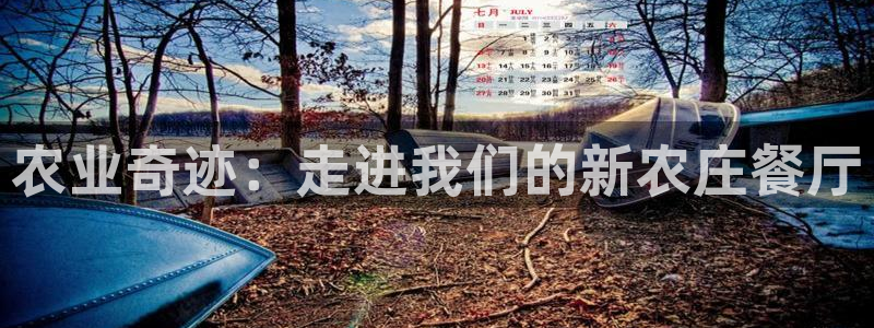 天辰娱乐平台安全吗