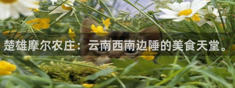 天富娱乐天辰娱乐