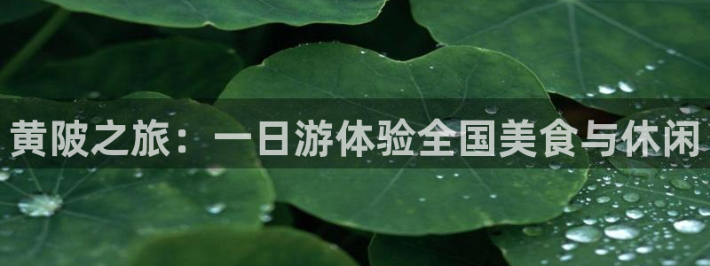 天辰娱乐平台地址在哪里