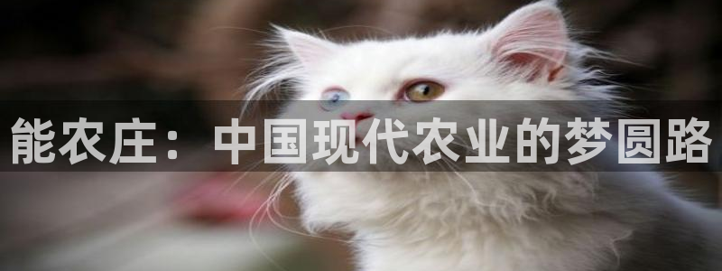 天辰娱乐天辰注册登录