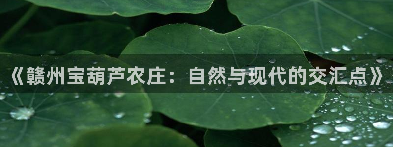 天辰娱乐平台地址在哪里