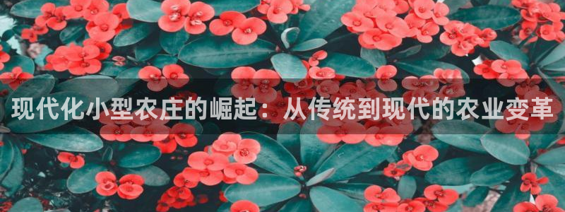 天辰娱乐下载链接