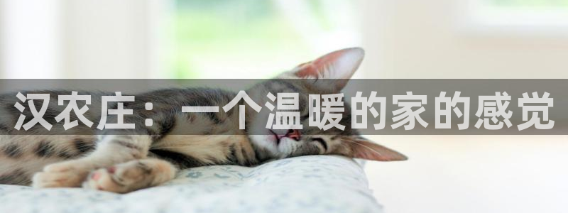 天辰娱乐官方登录下载