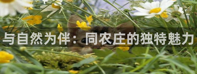 天辰娱乐官方登录入口