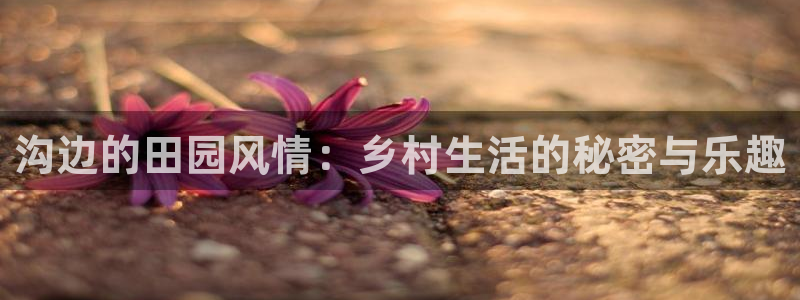 天辰娱乐平台娱乐注册