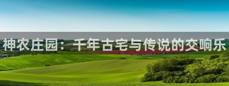 天辰娱乐APP下载