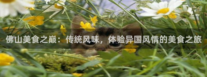 天辰娱乐登录测试