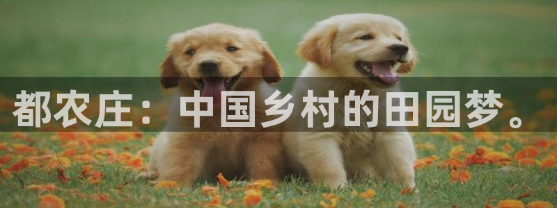 天辰娱乐官网平台入口