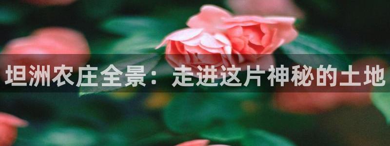 天辰天富娱乐登录