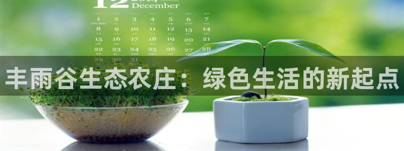 天辰娱乐平台app下载