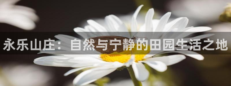 天辰娱乐海洋