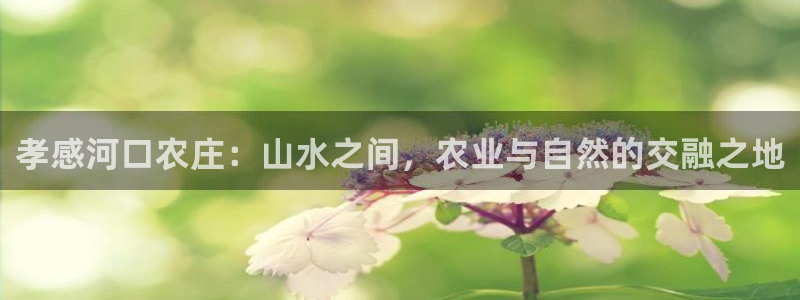 天辰娱乐跑的快